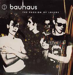 Bauhaus : The Passion of Lovers